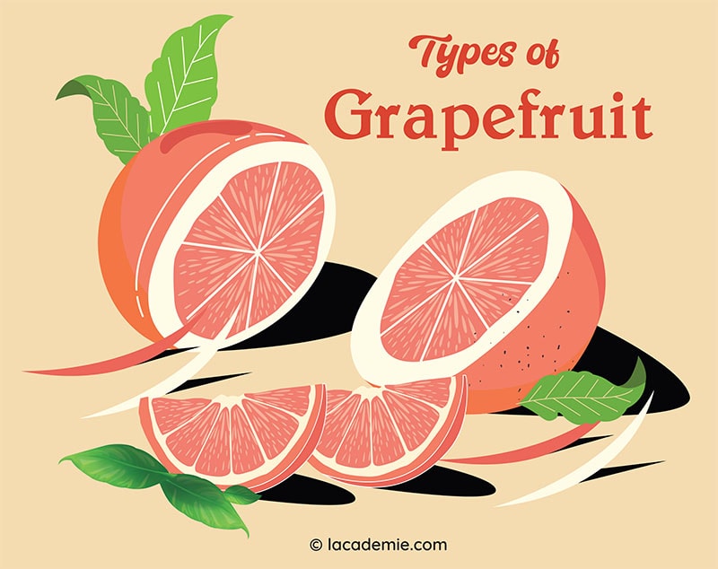 Type Of Grapefruit
