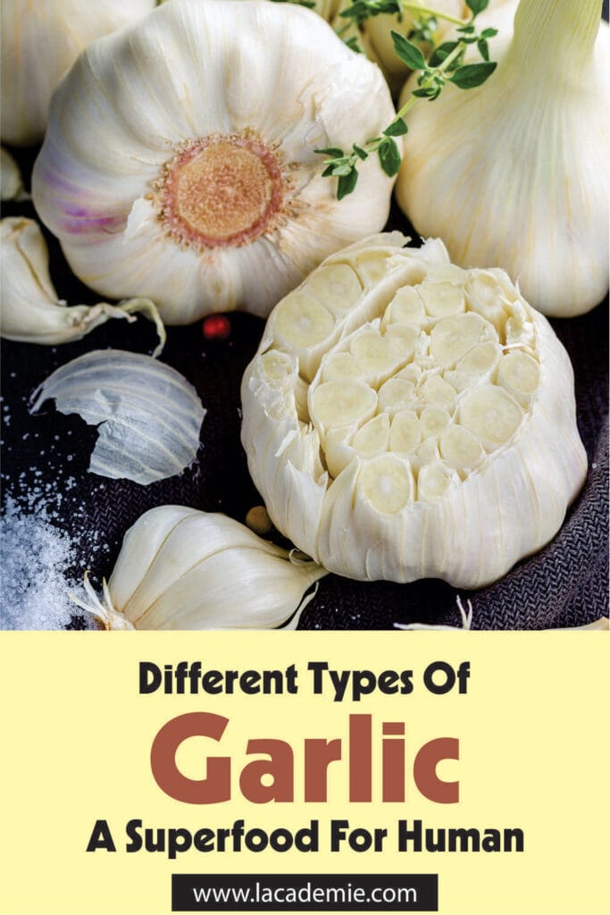 Types Of Garlic