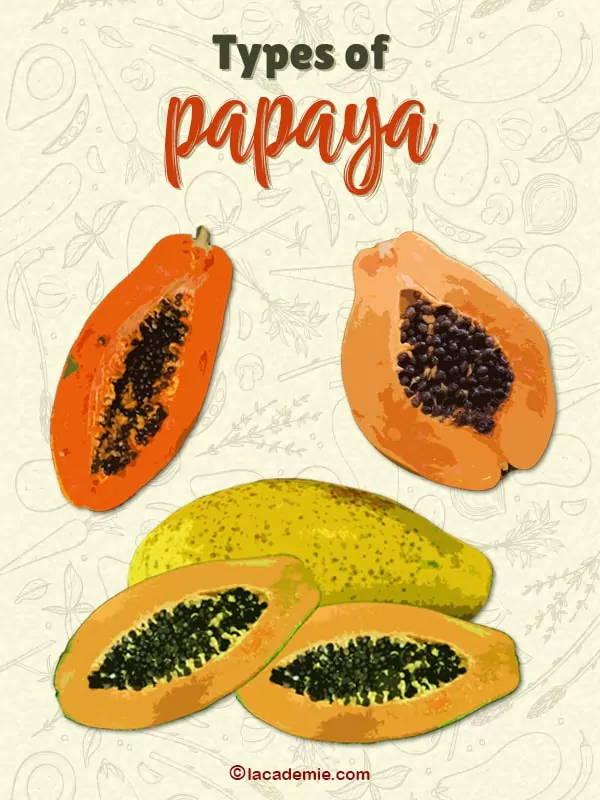 Types Of Papaya