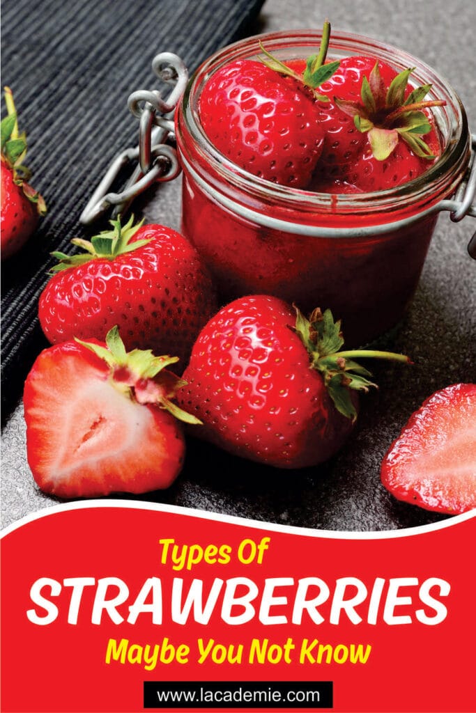 Types Of Strawberries