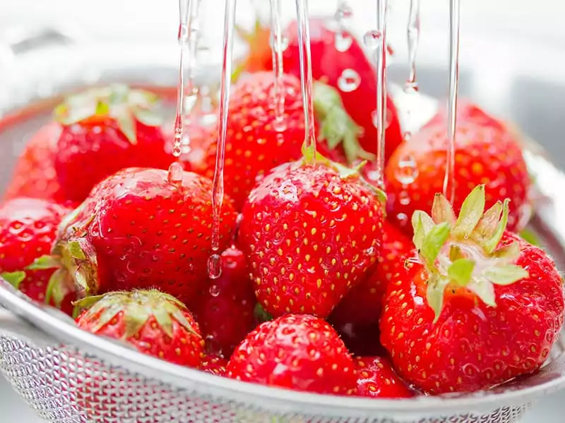 Washing Strawberries