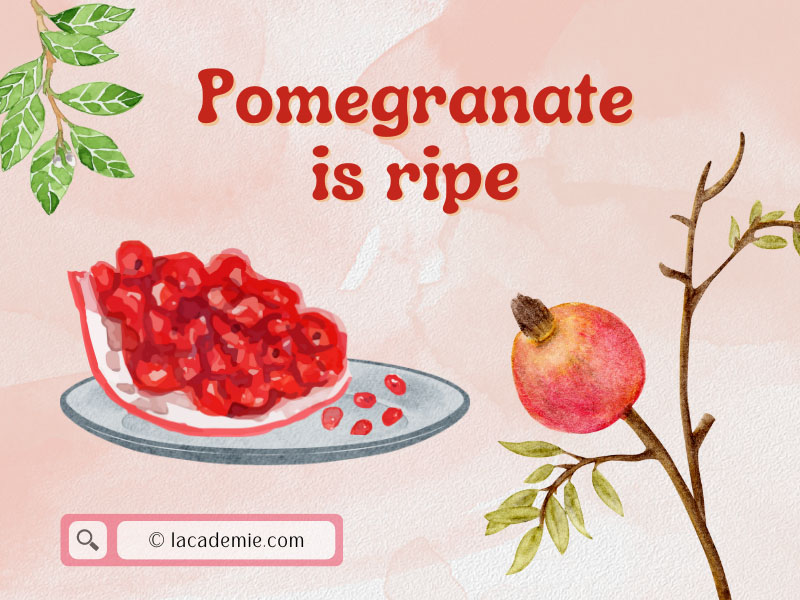 Which Pomegranate Is Ripe