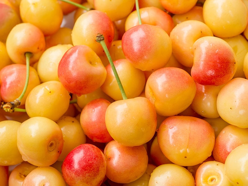 Yellow Cherry