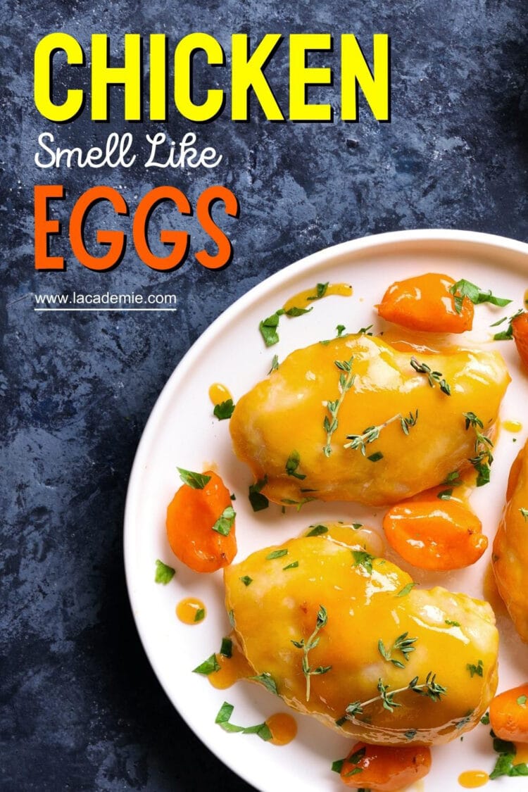 Why Does My Chicken Smell Like Eggs? Reasons & Fixes 2024