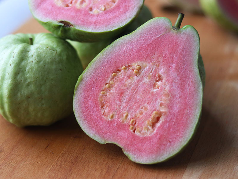 Common Guava