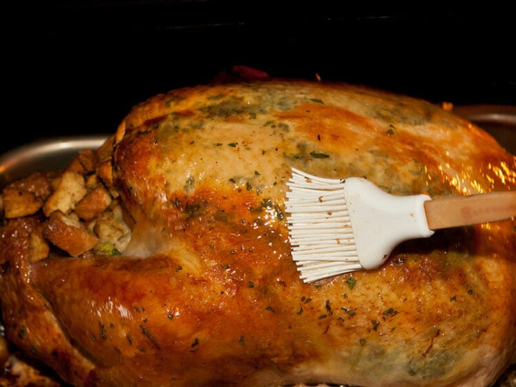 Convection Bake vs. Convection Roast Which to Use in 2024