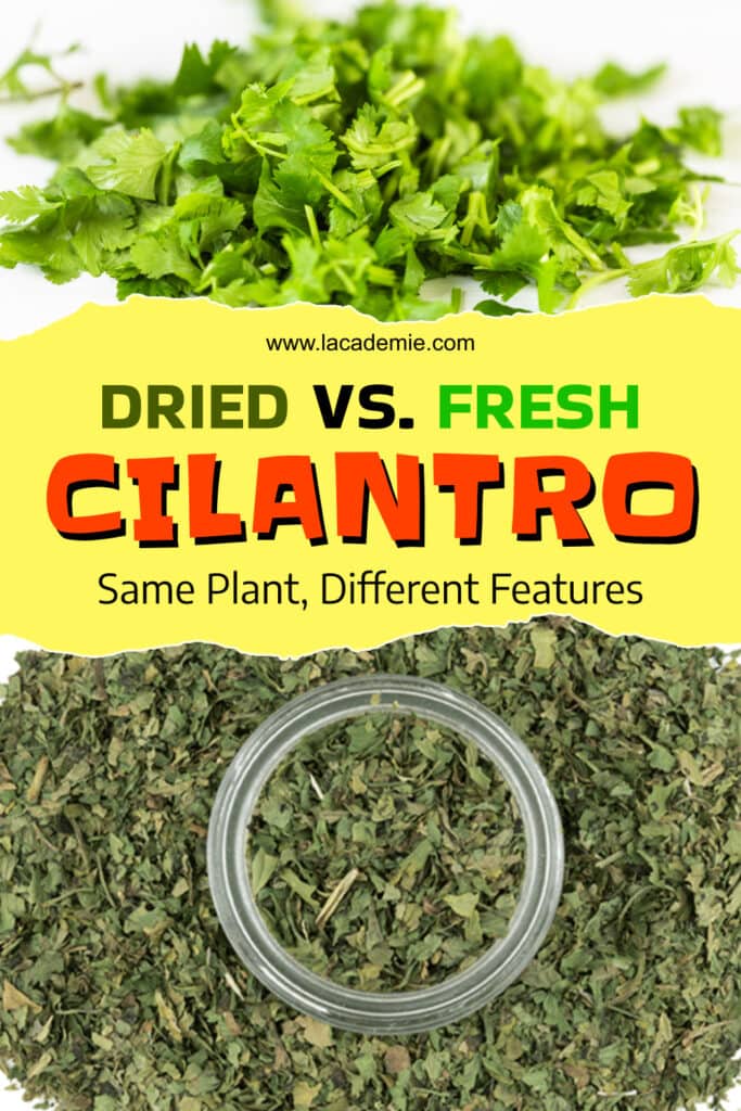 Dried Cilantro Vs Fresh