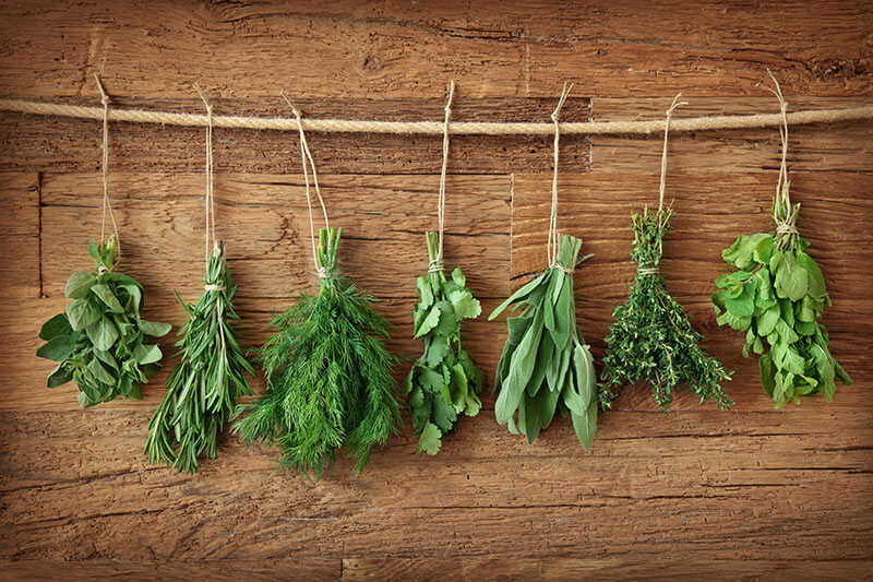 Fresh Herbs Hanging Over