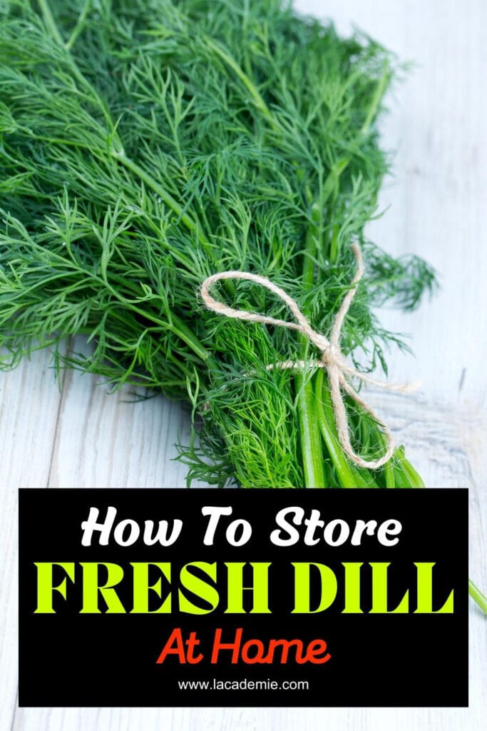 How To Store Fresh Dill