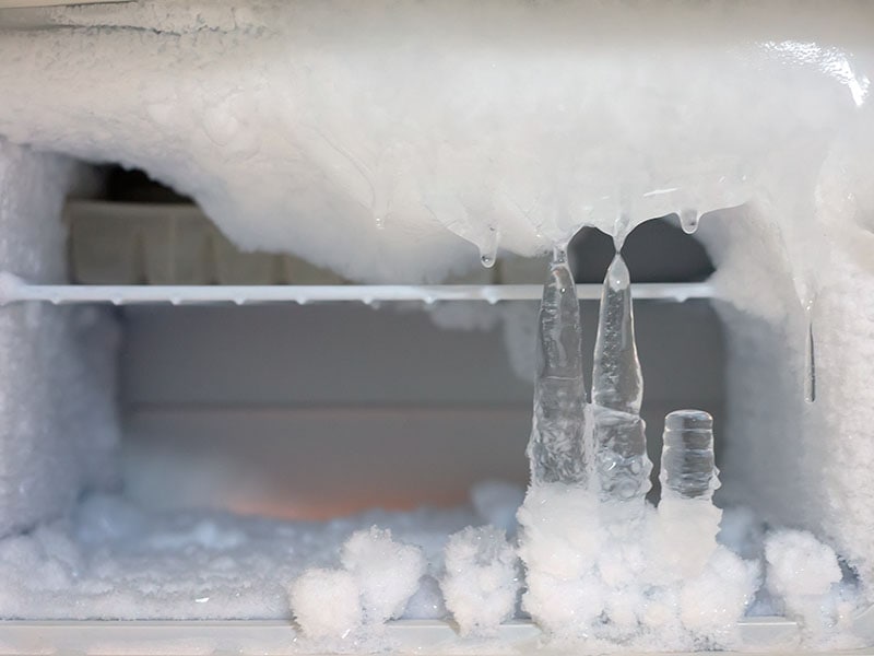 Rotisserie Chicken Freezer