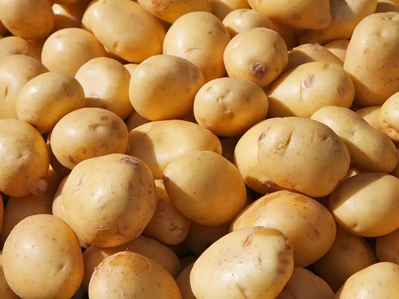 Yukon Potatoes