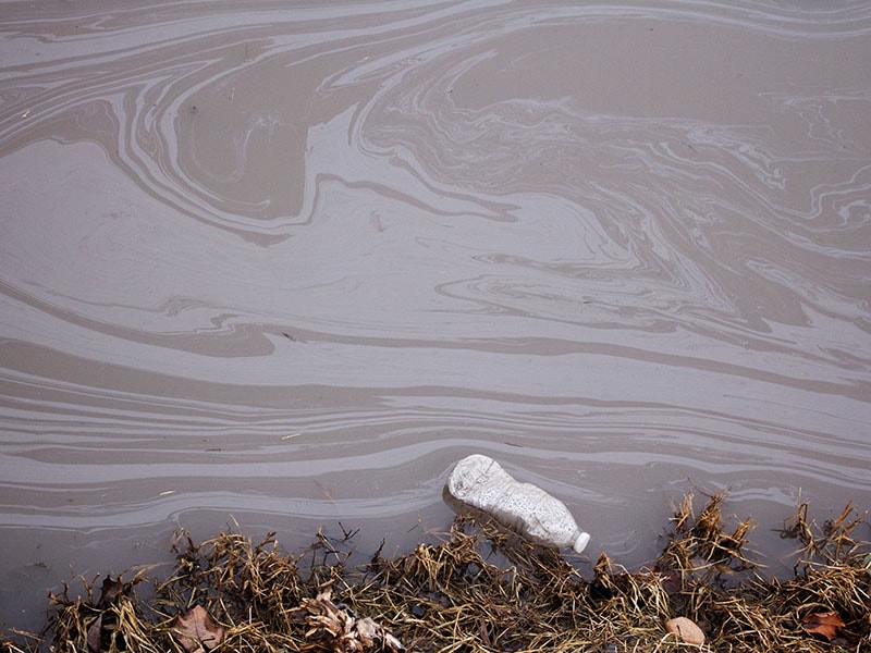 Can Exist In Water
