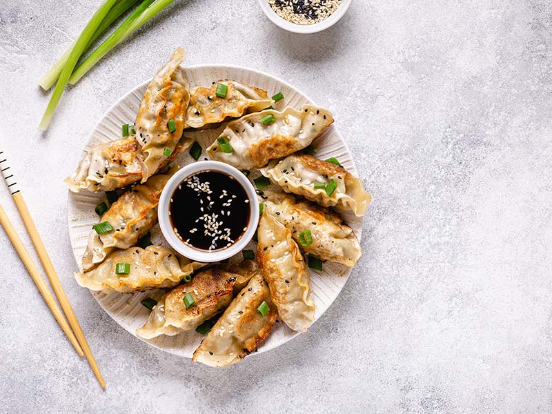 Gyoza Is One Of The Highlights