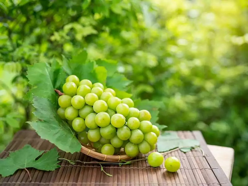 Colorful Grapes