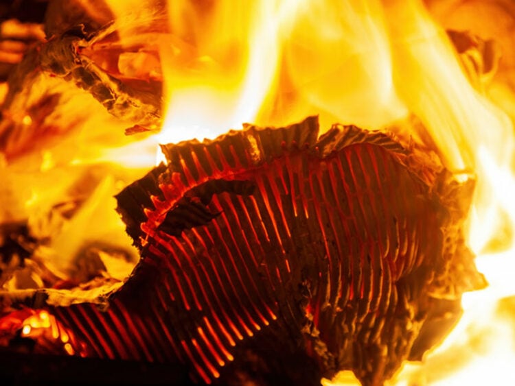 Can You Put A Pizza Box In The Oven? It Depends 2023