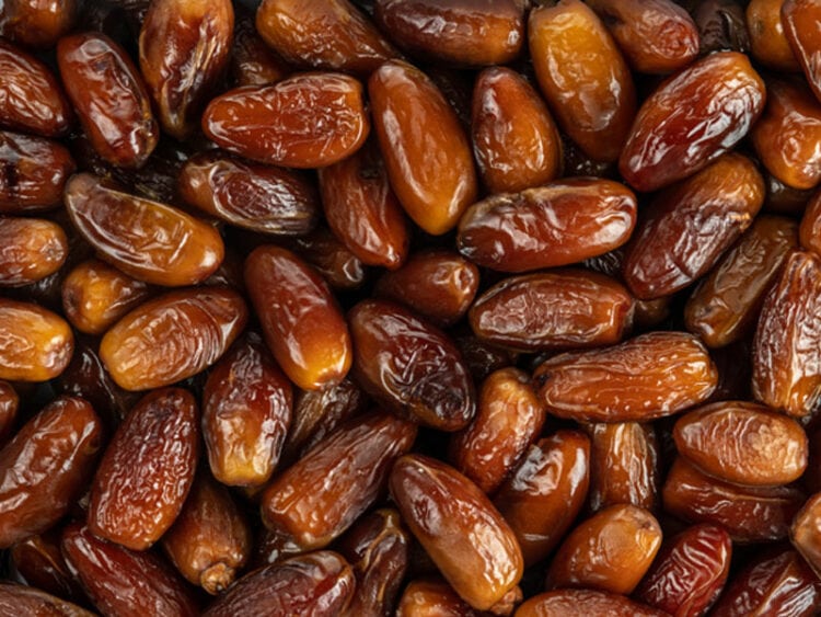 Dried vs. Fresh Dates: A Comprehensive Comparison