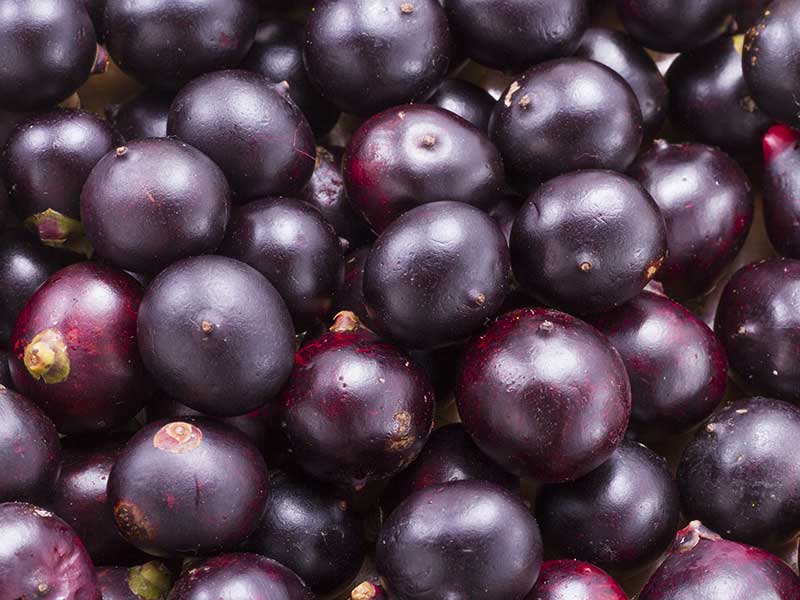 Açai Berries