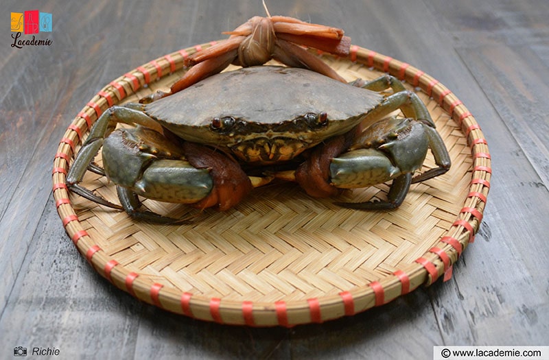 Fresh Crab