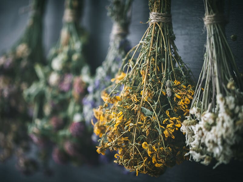 Fresh Or Dried Herbs