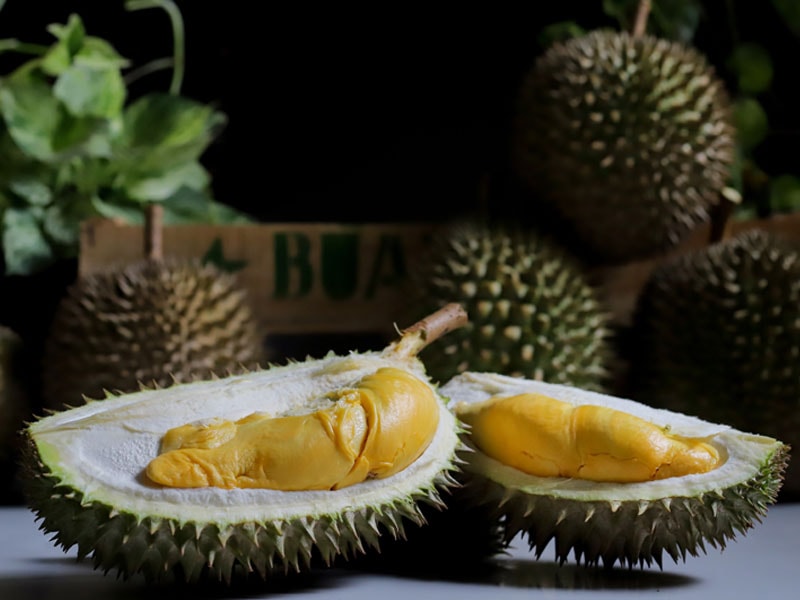 Jackfruit Vs Durian