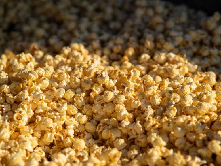 Kettle Corn Vs. Popcorn What Makes Them Different 2023
