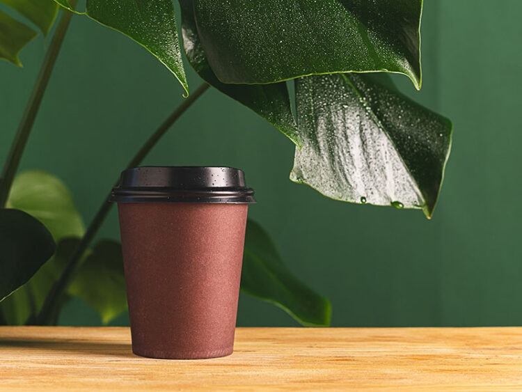 Is It Safe to Microwave Paper Cups? The 2024 Guide