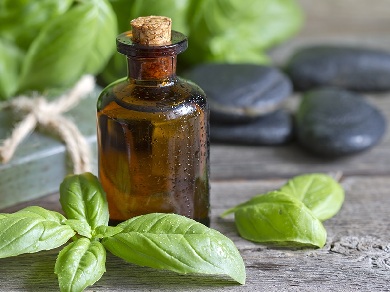 Basil-Infused Oil