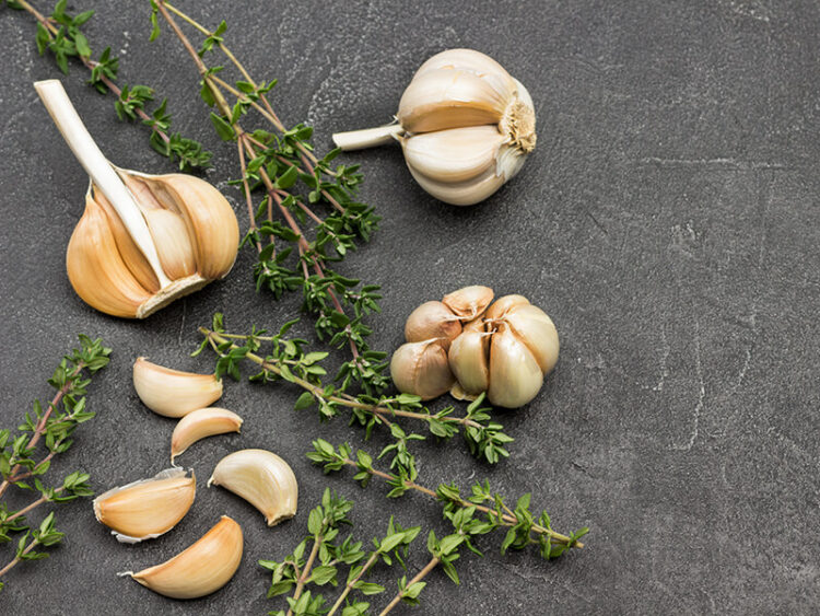 Fresh Garlic vs. Garlic Powder vs. Granulated Garlic 2024 Guide