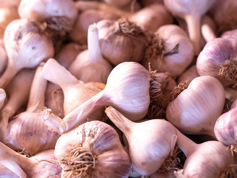 Pink Garlic Heads Drying