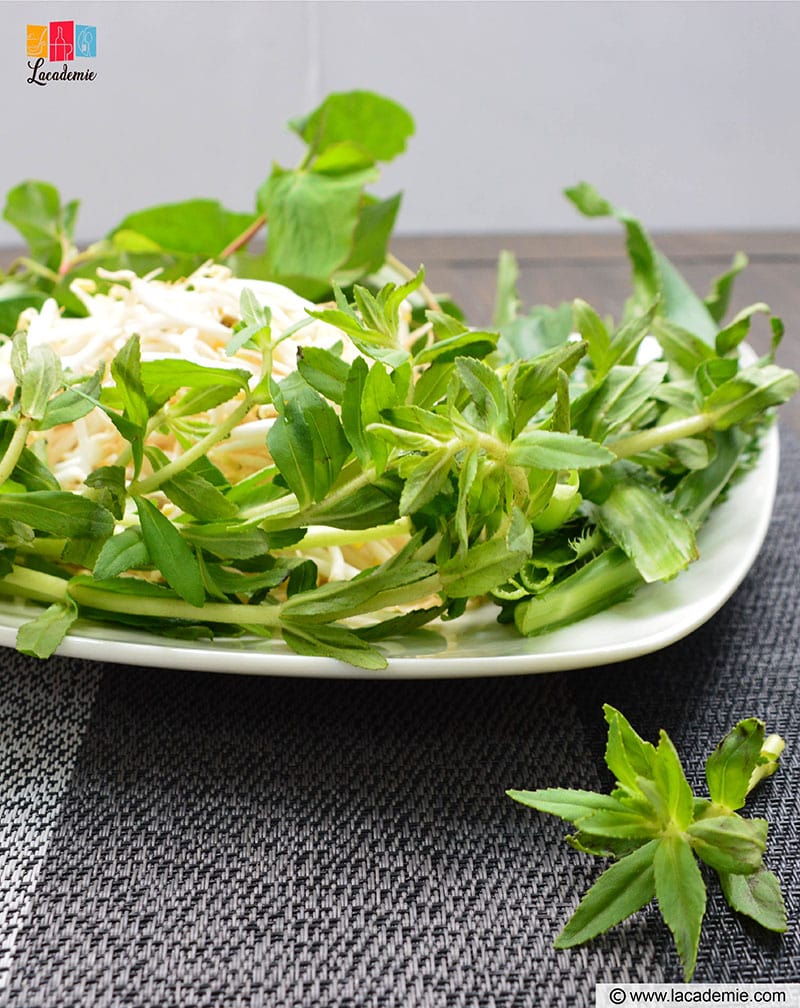 Rice Paddy Herb