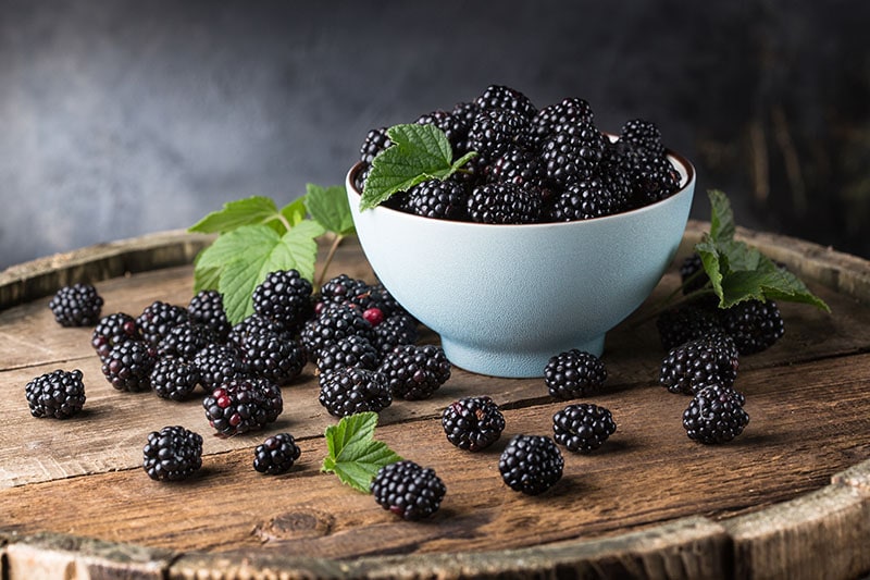 Ripe Blackberries Leaves