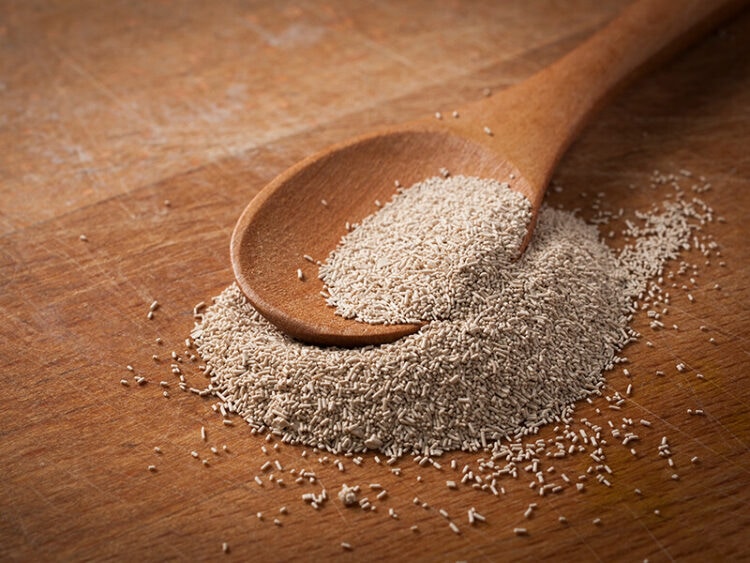 Does Salt Kill Yeast? The Truths Behind The Myst