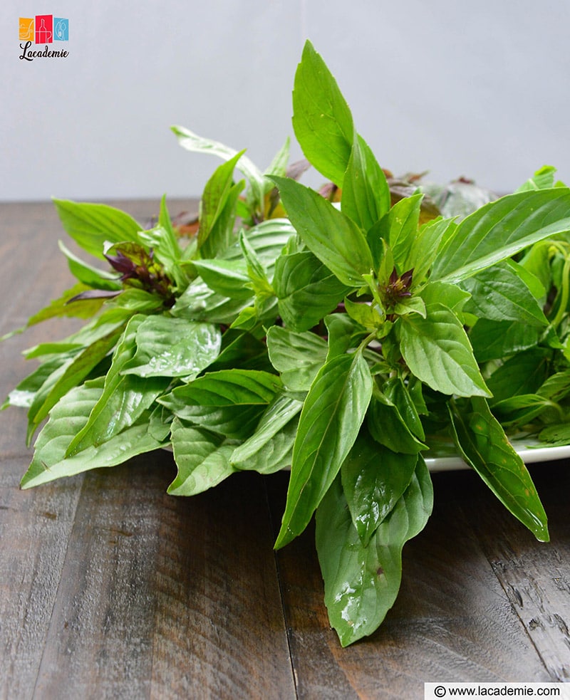 Thai Basil Leaves