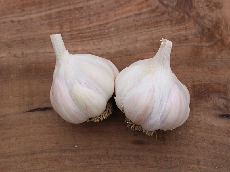 Two Bulbs Softneck Garlic