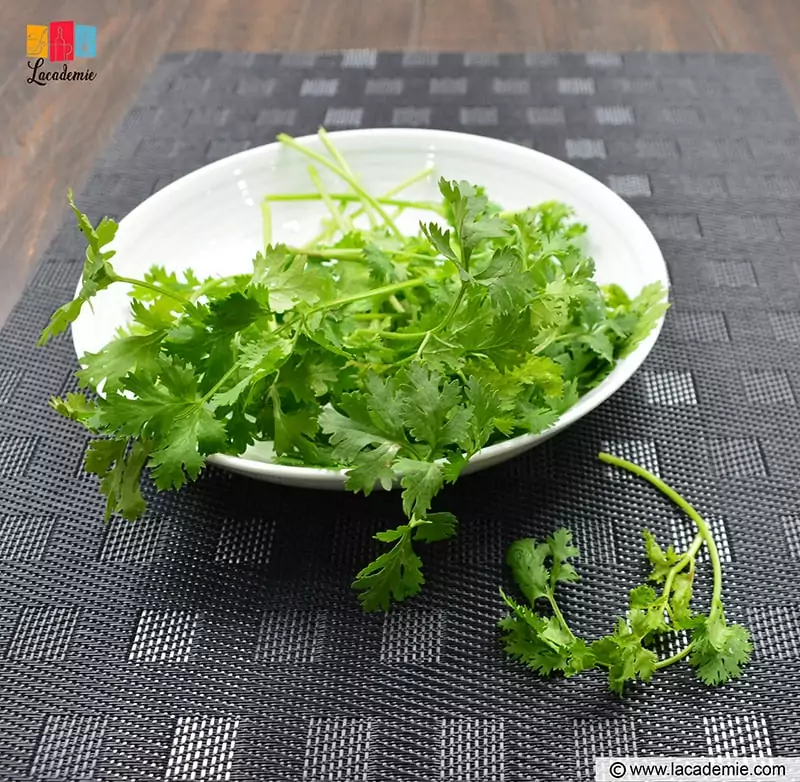 Vietnamese Cilantro