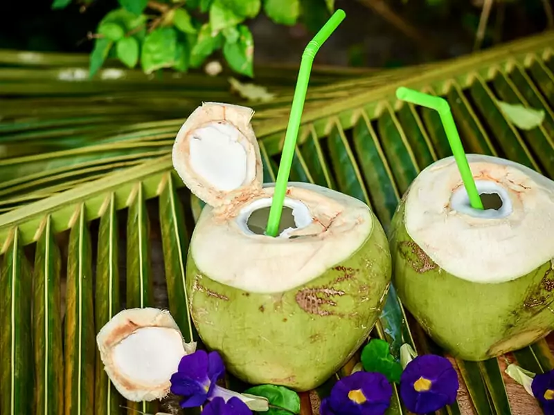 Coconut Fruits Cut Open