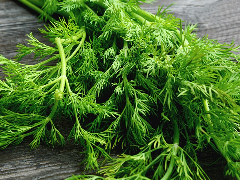 Dill On Wooden Table