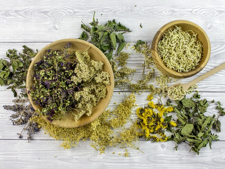 Fresh Vs. Dried Herbs Know All The Differences 2023