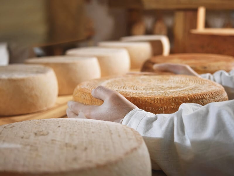 Farmer Hands Holding Cheese