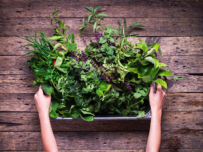 Fresh And Dried Herbs