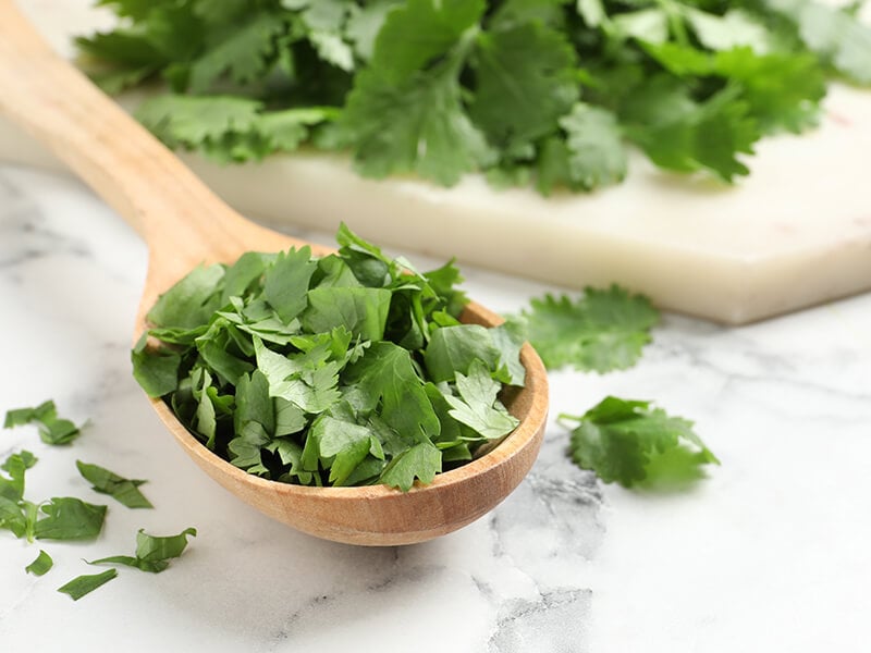 Fresh Green Cilantro