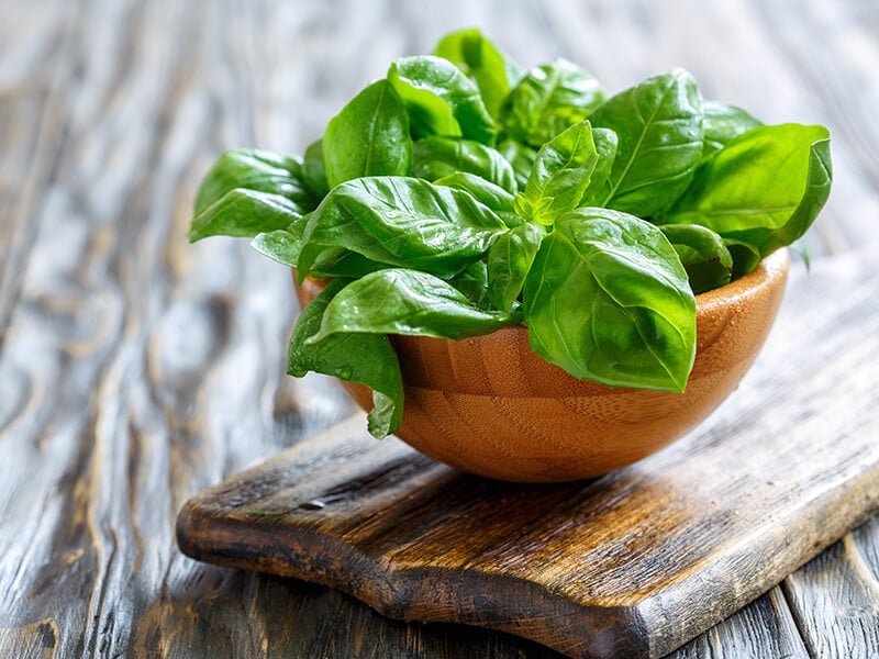 Green Basil Leaves