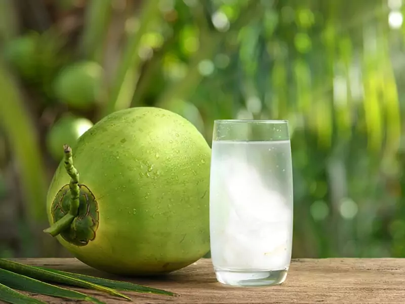 Medium-Sized Green Coconut