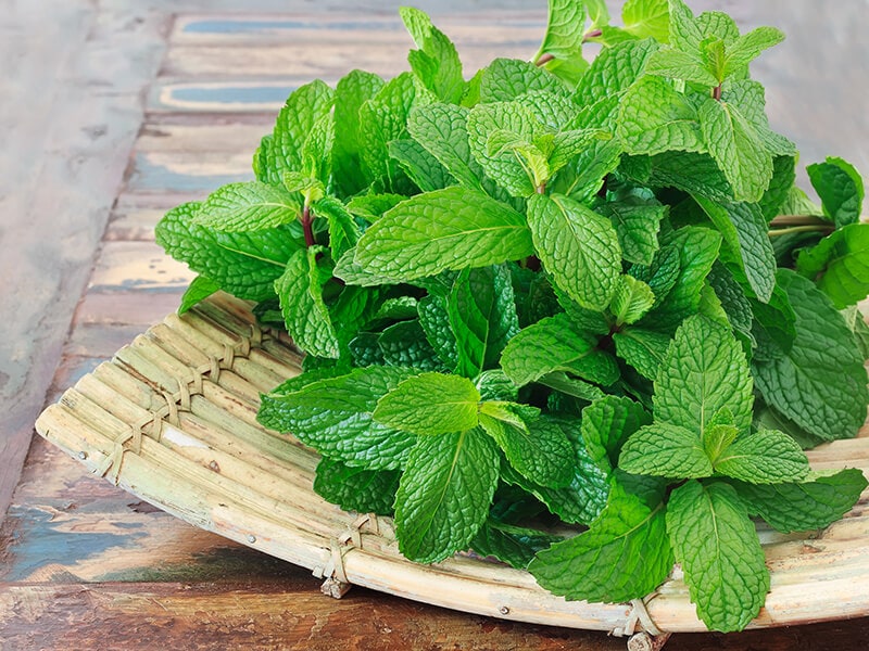 Mint Leaves Add Coconut Water