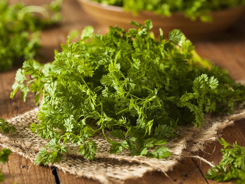 Parsley Chervil Bunch