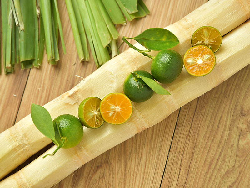 Sugarcane Juice Vietnamese Style