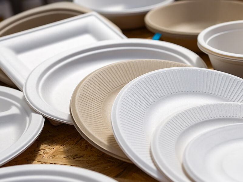 White And Plain Paper Plates