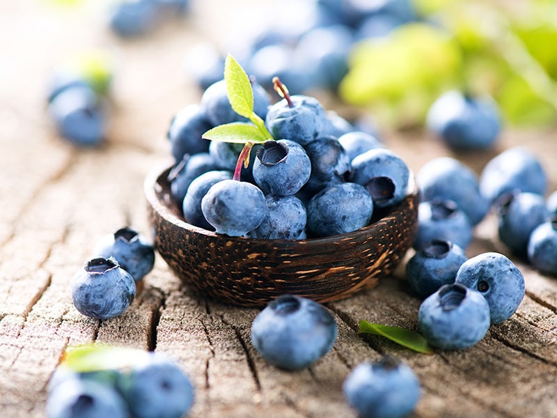 Freshly Picked Blueberries