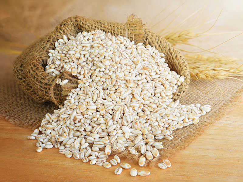 Barley Grain
