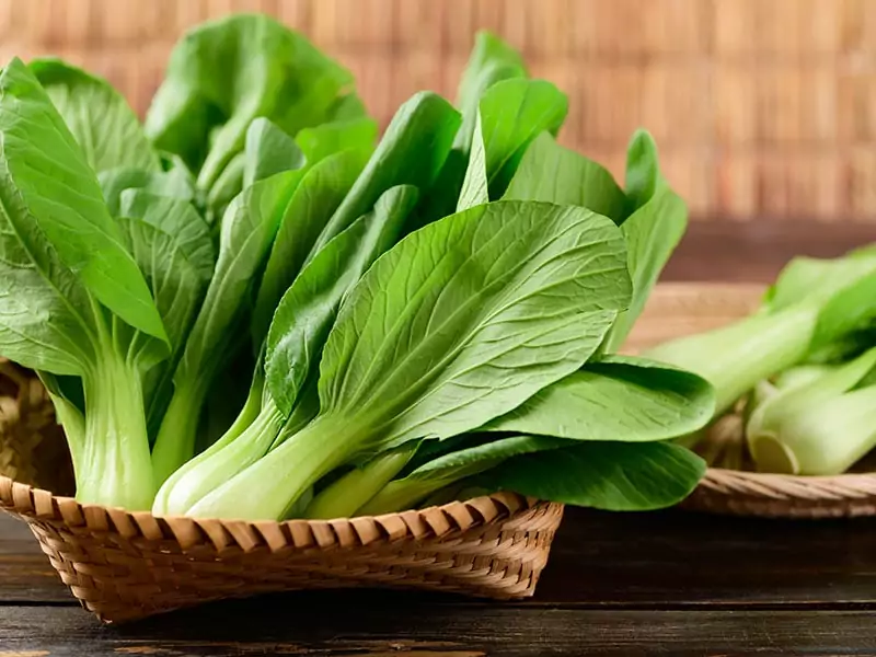 Bok Choy